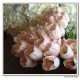 real touch flowers, artificial flowers, silk flowers, wedding flowers, tulips