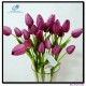 Tulip bouquets