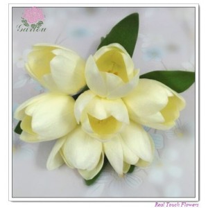http://www.ls-decos.com/110-641-thickbox/tulip-bouquets-.jpg