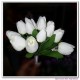 Mini tulip bouquets
