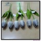 Tulip single stem