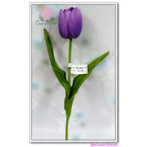 http://www.ls-decos.com/116-682-thickbox/tulip-stem.jpg