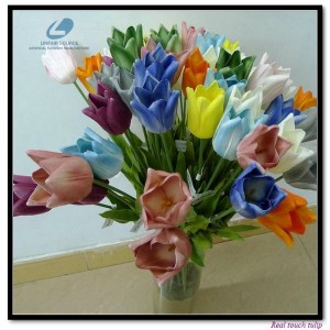 http://www.ls-decos.com/117-686-thickbox/tulips-.jpg