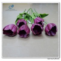 Single Stem Tulip