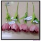 Small Tulips