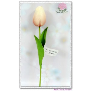 http://www.ls-decos.com/120-708-thickbox/tulip-buds.jpg