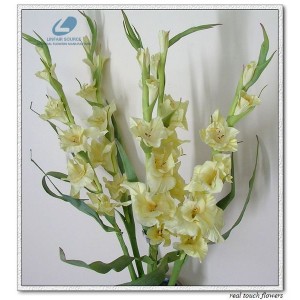 http://www.ls-decos.com/122-718-thickbox/gladiolus-flower.jpg