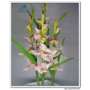 http://www.ls-decos.com/123-721-thickbox/gladiolus-flower.jpg