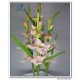 real touch gladiolus, artificial flowers, silk flowers, gladiolus