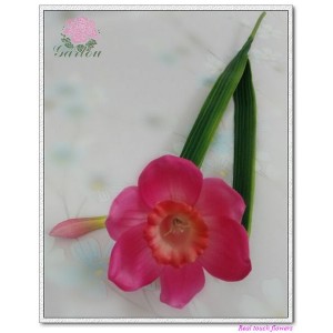http://www.ls-decos.com/124-723-thickbox/daffodils-flowers.jpg