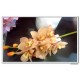 silk flowers, silk cymbidium orchid, artificial flowers