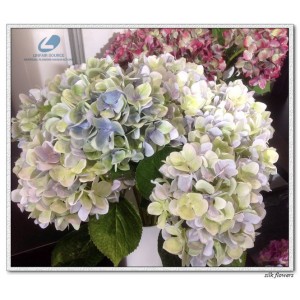 http://www.ls-decos.com/182-859-thickbox/silk-hydrangea-flower.jpg
