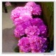 silk flowers, artificial flowers, wedding hydrangea flowers,silk hydrangea flowers