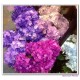 artificial flowers, silk flowers, silk hydrangea flowers, wedding hydrangea flowers