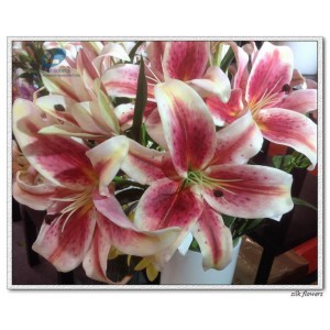 http://www.ls-decos.com/201-913-thickbox/silk-lily-flower-3d-print.jpg