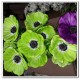 Anemone silk flowers artificial flowers real touch flowers