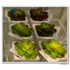 http://www.ls-decos.com/297-1066-thickbox/artificial-succulents.jpg