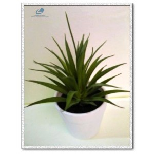 http://www.ls-decos.com/299-1068-thickbox/artificial-succulents.jpg