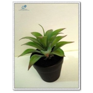 http://www.ls-decos.com/300-1069-thickbox/artificial-succulents.jpg
