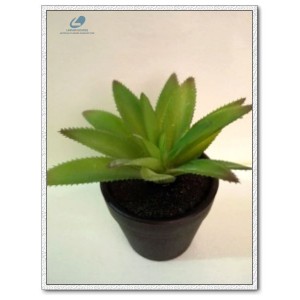 http://www.ls-decos.com/301-1071-thickbox/artificial-succulents.jpg