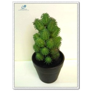 http://www.ls-decos.com/302-1072-thickbox/artificial-succulents.jpg