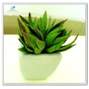 http://www.ls-decos.com/304-1074-thickbox/artificial-succulents.jpg