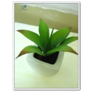 http://www.ls-decos.com/305-1075-thickbox/artificial-succulents.jpg