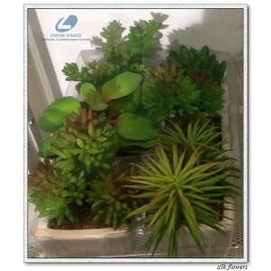 http://www.ls-decos.com/309-1079-thickbox/artificial-succulents.jpg