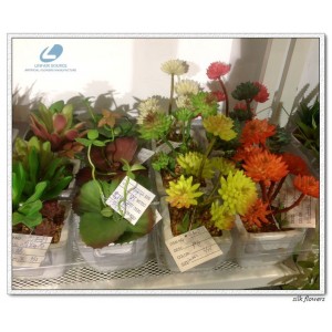 http://www.ls-decos.com/310-1081-thickbox/artificial-succulents.jpg