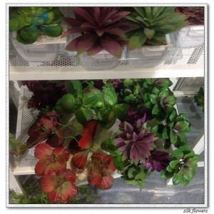 http://www.ls-decos.com/311-1082-thickbox/artificial-succulents.jpg