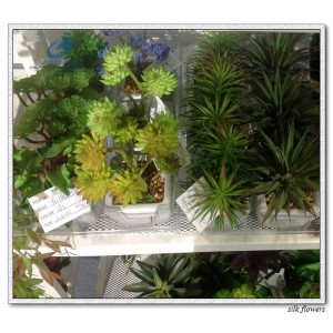 http://www.ls-decos.com/312-1083-thickbox/artificial-succulents.jpg