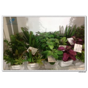 http://www.ls-decos.com/313-1084-thickbox/artificial-succulents.jpg
