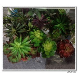 http://www.ls-decos.com/315-1086-thickbox/artificial-succulents.jpg