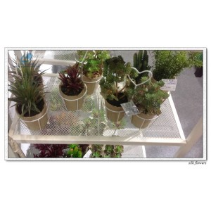 http://www.ls-decos.com/318-1089-thickbox/artificial-succulents.jpg