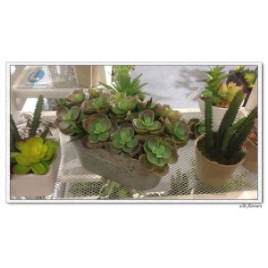 http://www.ls-decos.com/319-1090-thickbox/artificial-succulents.jpg