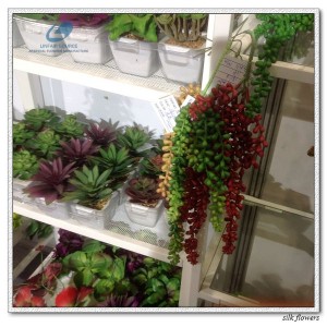http://www.ls-decos.com/321-1092-thickbox/artificial-succulents.jpg