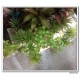 artificial succulents, faux succulents,plastic succulents