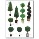 artificial trees,artificial plants,artificial greenery, plastic plants,faux trees