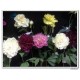artificial flowers, silk flowers, silk peony, faux peony, artificial flower arrangements