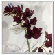 Silk Orchid Small