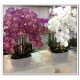 artificial flowers, silk flowers, silk orchids, artificial flowers arrangements