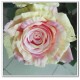 Silk Rose Large