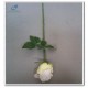 Silk Rose Bud