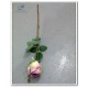 Silk Rose 
