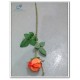 Silk Rose 