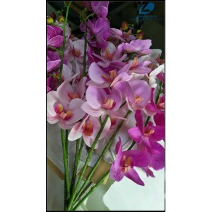 http://www.ls-decos.com/418-1404-thickbox/soft-touch-phalaenopsis-orchid.jpg