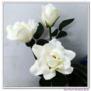 http://www.ls-decos.com/45-258-thickbox/gardenia.jpg