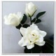 real touch flowers gardenia