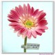 real touch flowers gerbera daisy