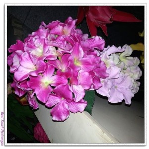 http://www.ls-decos.com/51-293-thickbox/hydrangea-flower-single-stem.jpg